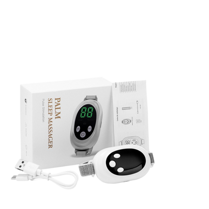 Intelligent sleep instrument