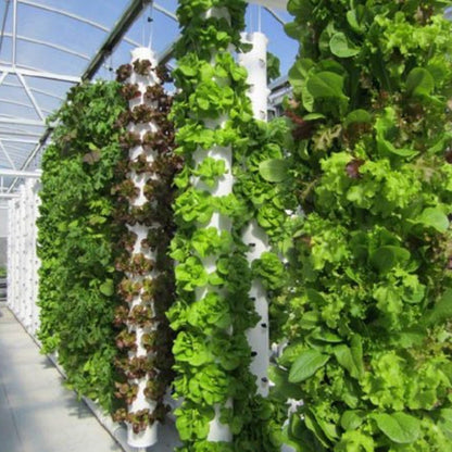 Intelligent Vegetable Planting Machine