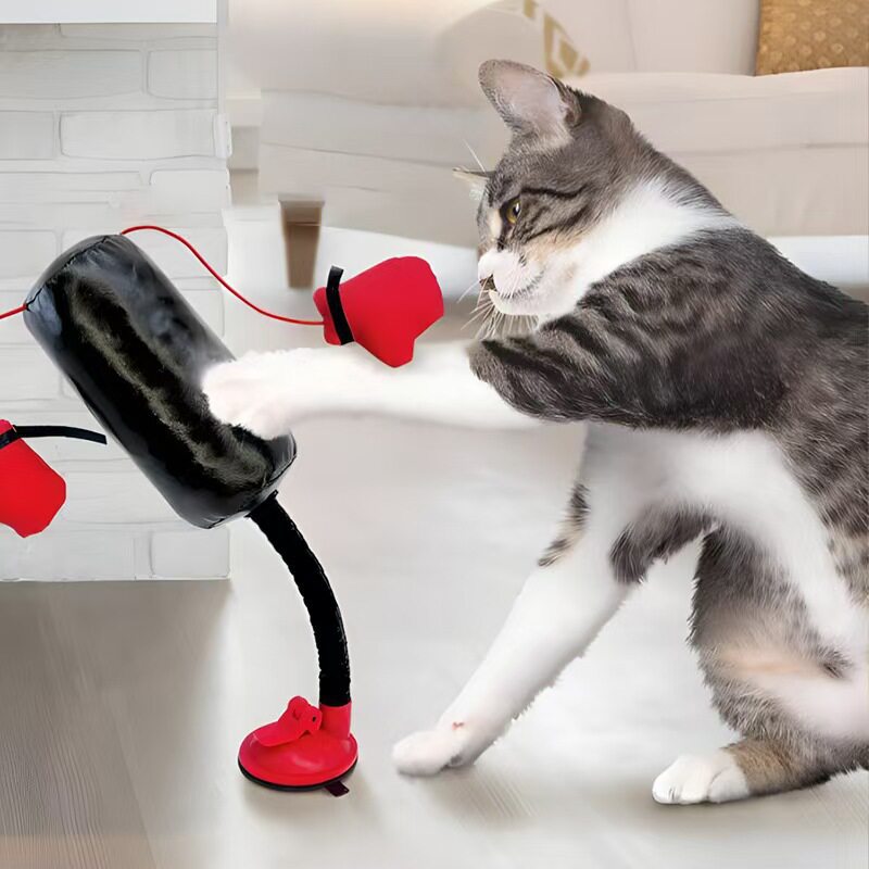 Interactive Cat Boxing Gloves with Suction Cup Stand
