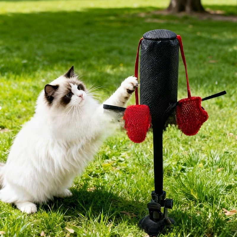 Interactive Cat Boxing Spring Toy with Teasing Stick