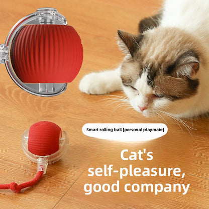 Interactive Cat Play Ball