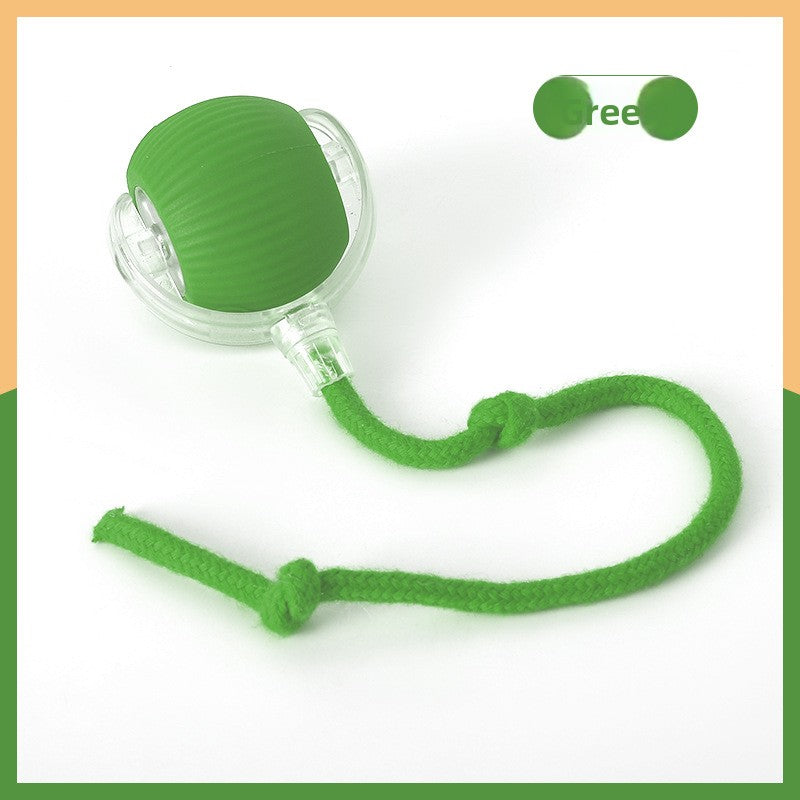 Interactive Cat Play Ball