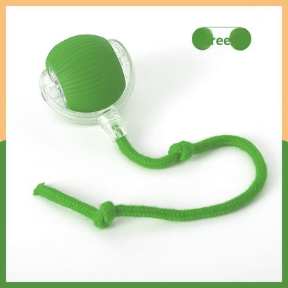 Interactive Cat Play Ball