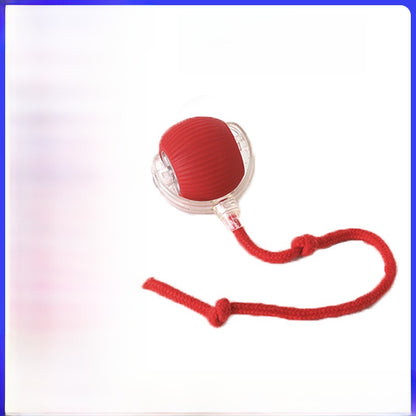 Interactive Cat Play Ball