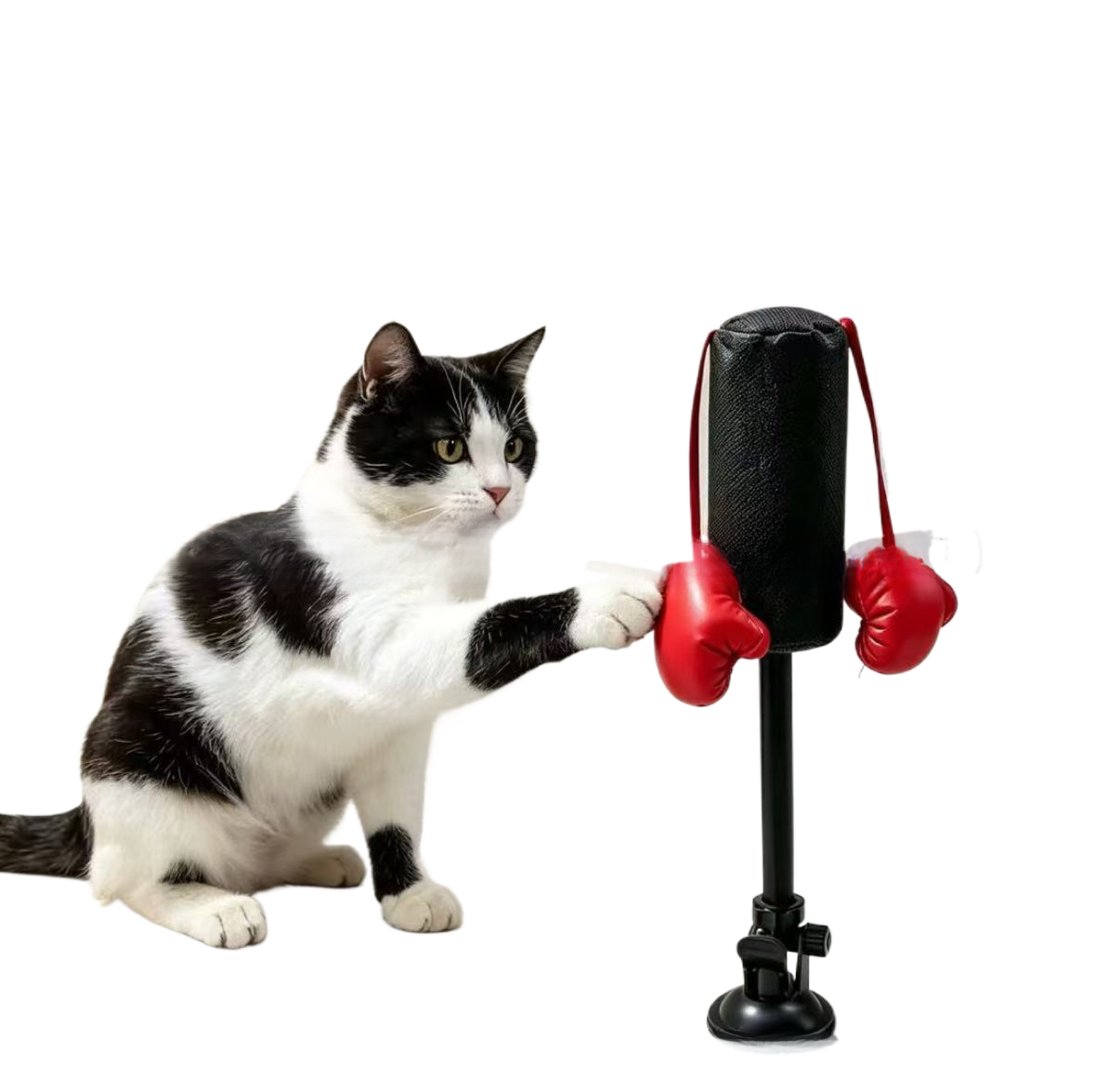 Interactive Cat Teaser Boxing Stand with Spring