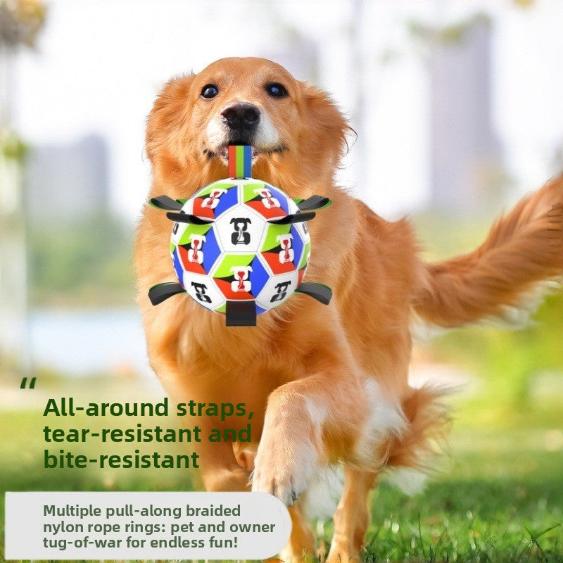 Interactive Dog Toy Ball