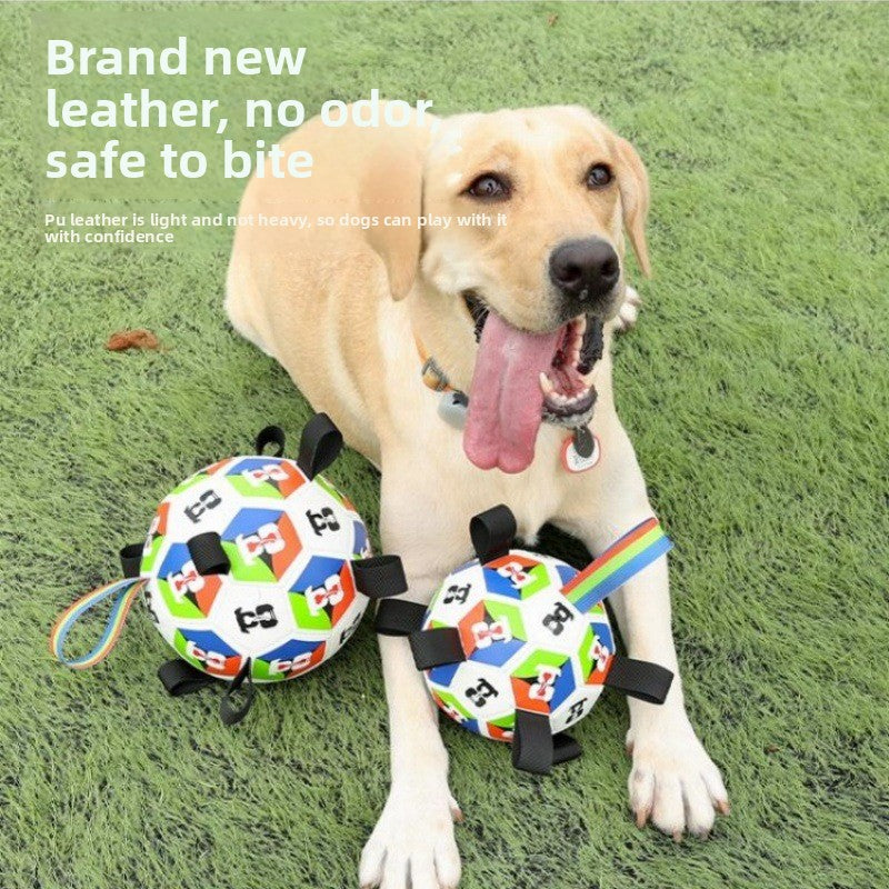 Interactive Dog Toy Ball
