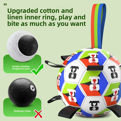 Interactive Dog Toy Ball