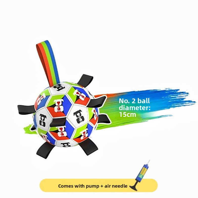 Interactive Dog Toy Ball