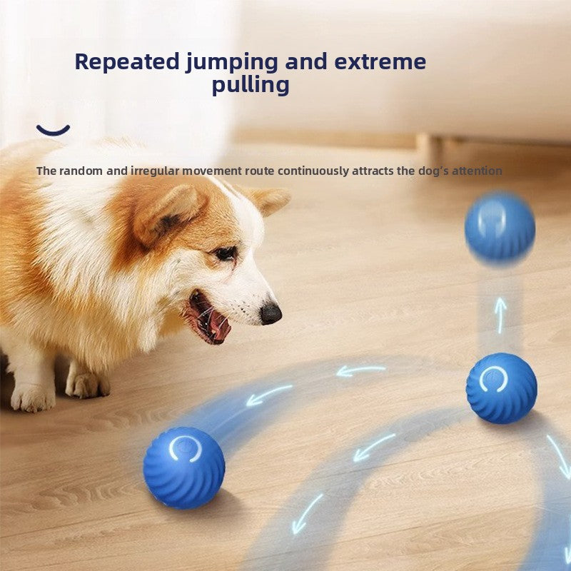 Interactive Electric Pet Toy Ball with Automatic Bouncing