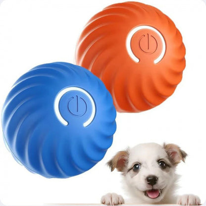 Interactive Pet Bouncing Ball
