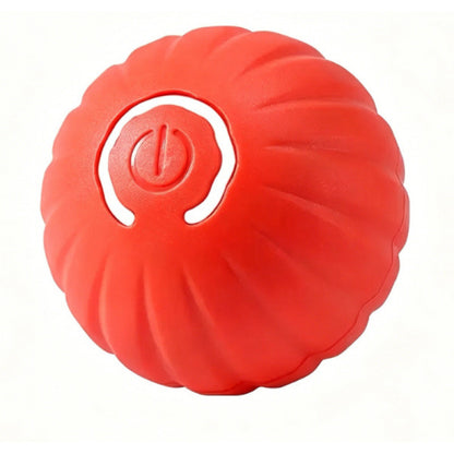 Interactive Pet Bouncing Ball