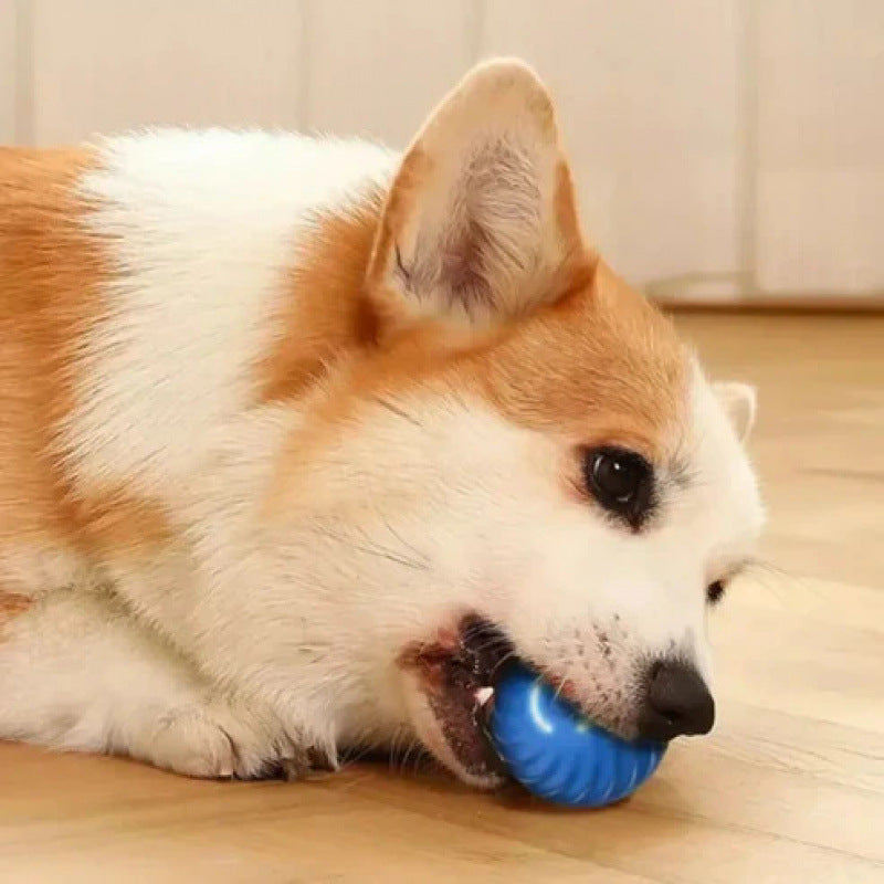 Interactive Pet Bouncing Ball