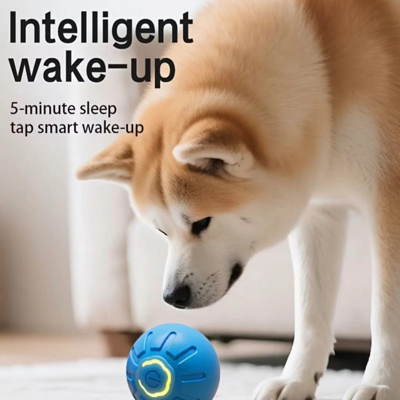Interactive Pet Bouncing Ball