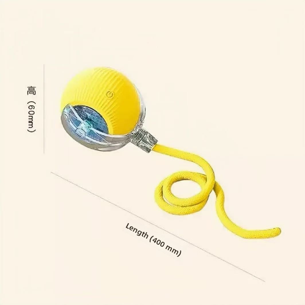 Interactive Pet Play Ball