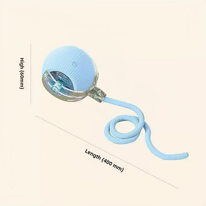 Interactive Pet Play Ball