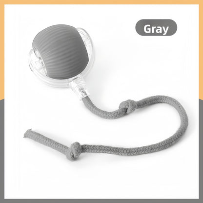Interactive Pet Play Ball