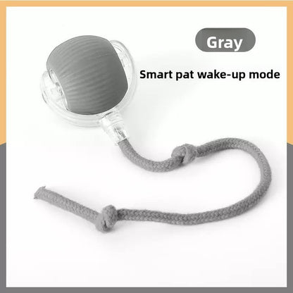 Interactive Pet Play Ball