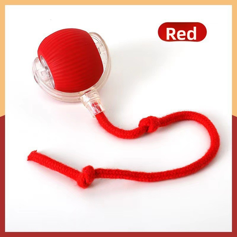 Interactive Pet Play Ball