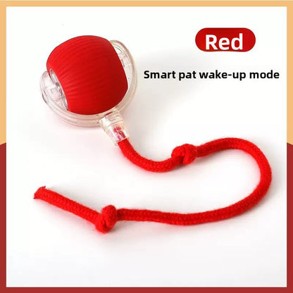Interactive Pet Play Ball