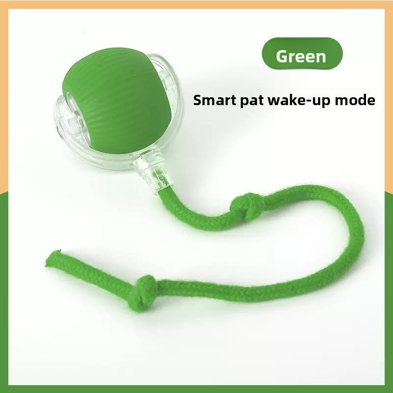 Interactive Pet Play Ball