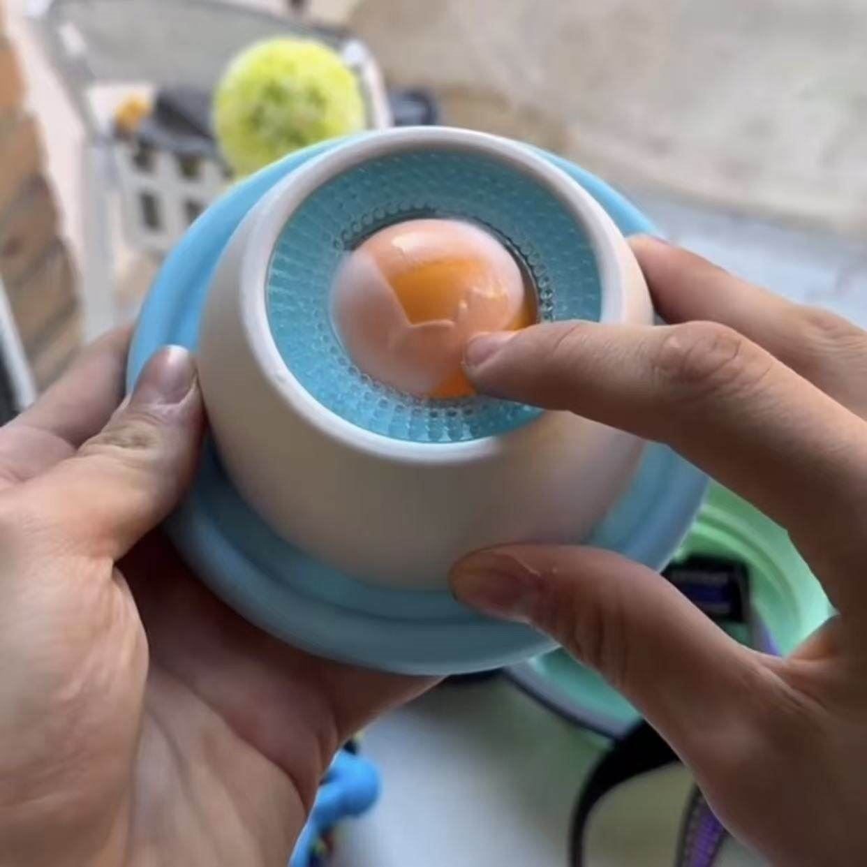 Interactive Pet Slow Feeder