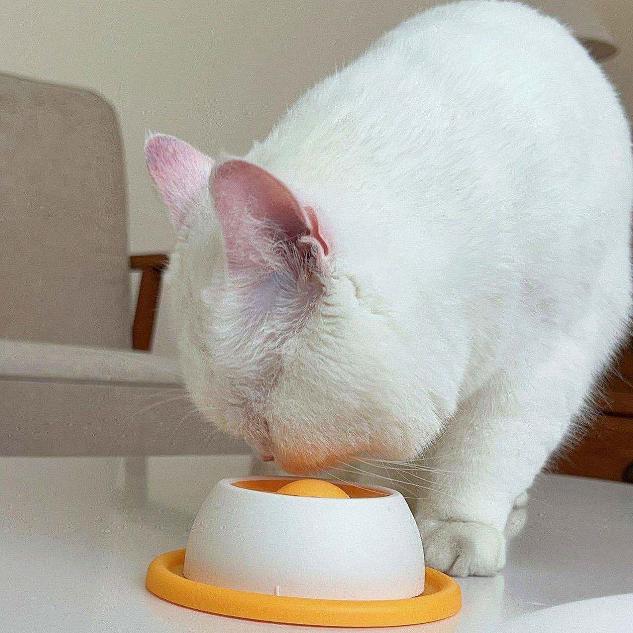 Interactive Pet Slow Feeder