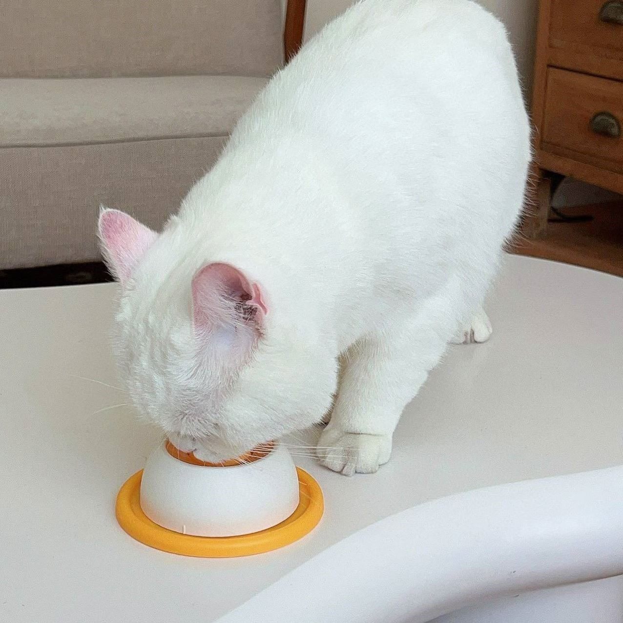 Interactive Pet Slow Feeder