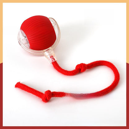 Interactive Pet Toy Ball
