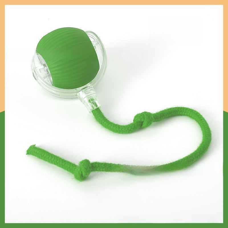 Interactive Pet Toy Ball