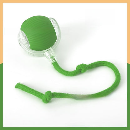 Interactive Pet Toy Ball