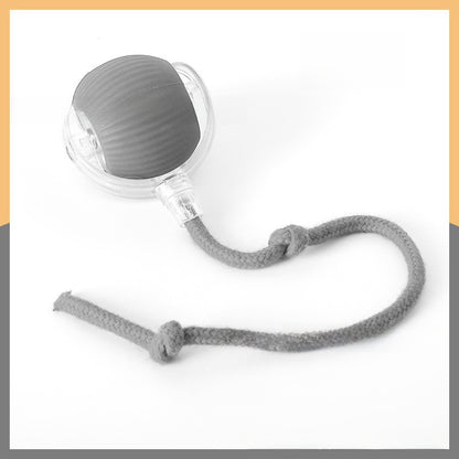 Interactive Pet Toy Ball