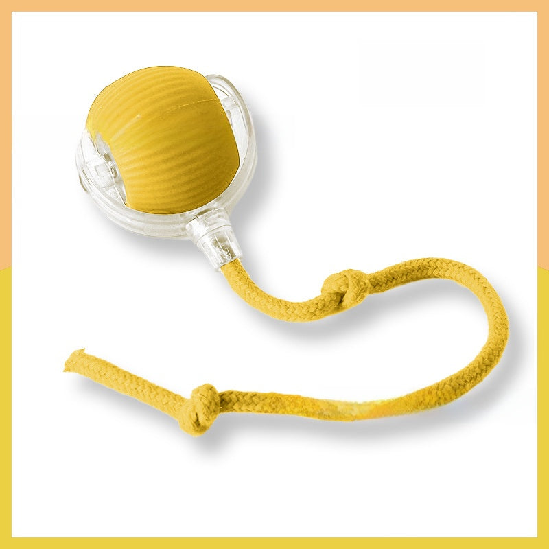 Interactive Pet Toy Ball