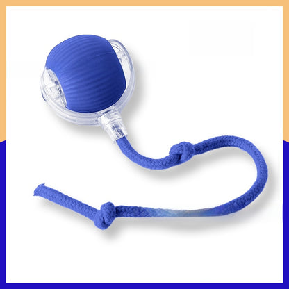 Interactive Pet Toy Ball
