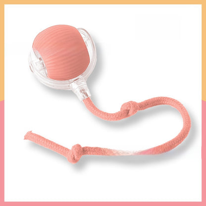 Interactive Pet Toy Ball