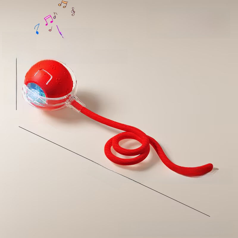Interactive Pet Toy Ball