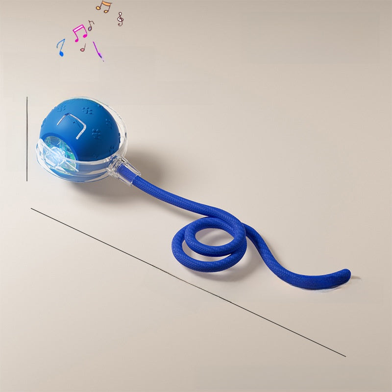 Interactive Pet Toy Ball