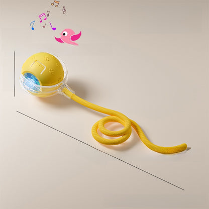 Interactive Pet Toy Ball