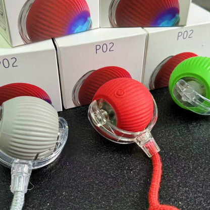 Interactive Pet Toy Ball
