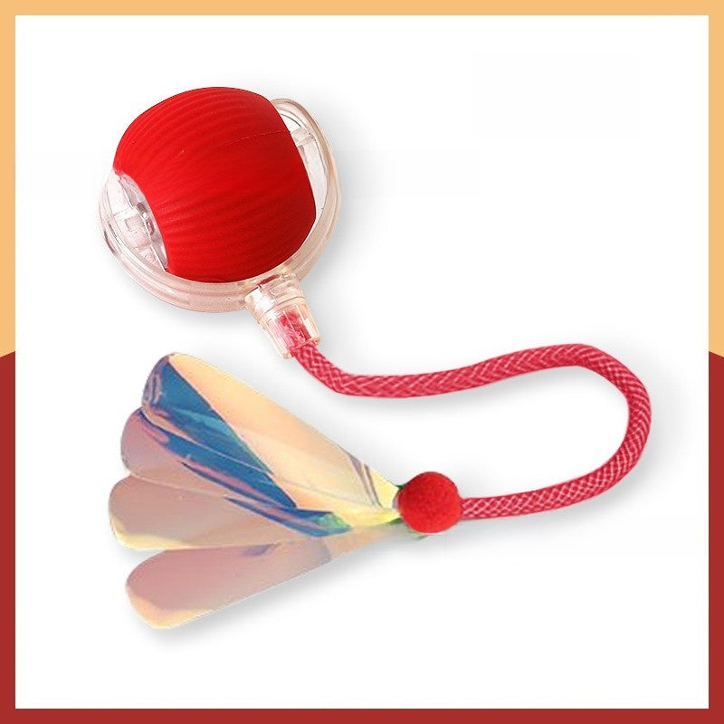 Interactive Pet Toy Ball