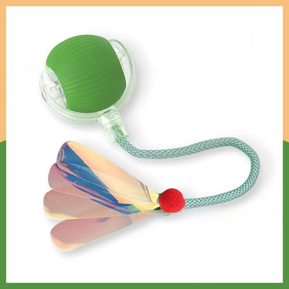 Interactive Pet Toy Ball