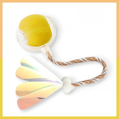 Interactive Pet Toy Ball
