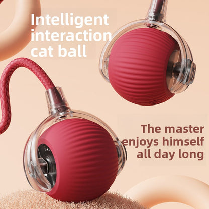 Interactive Pet Toy Ball