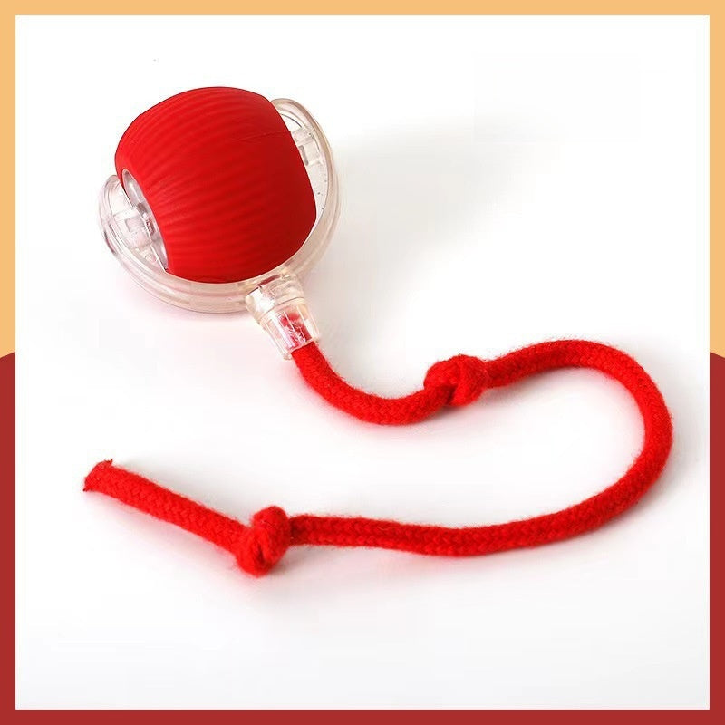 Interactive Pet Toy Ball
