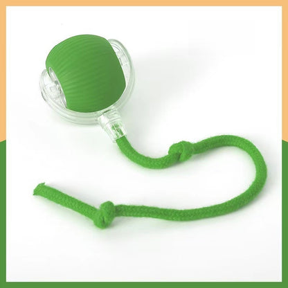 Interactive Pet Toy Ball