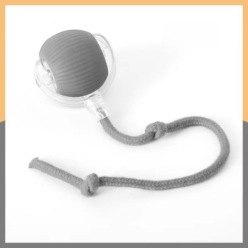 Interactive Pet Toy Ball