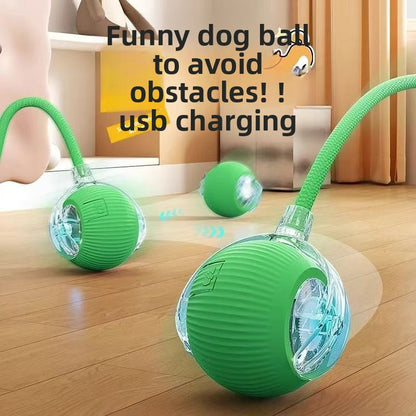 Interactive Silicone Pet Ball