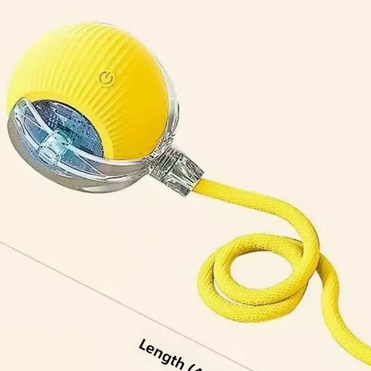 Interactive Silicone Pet Ball