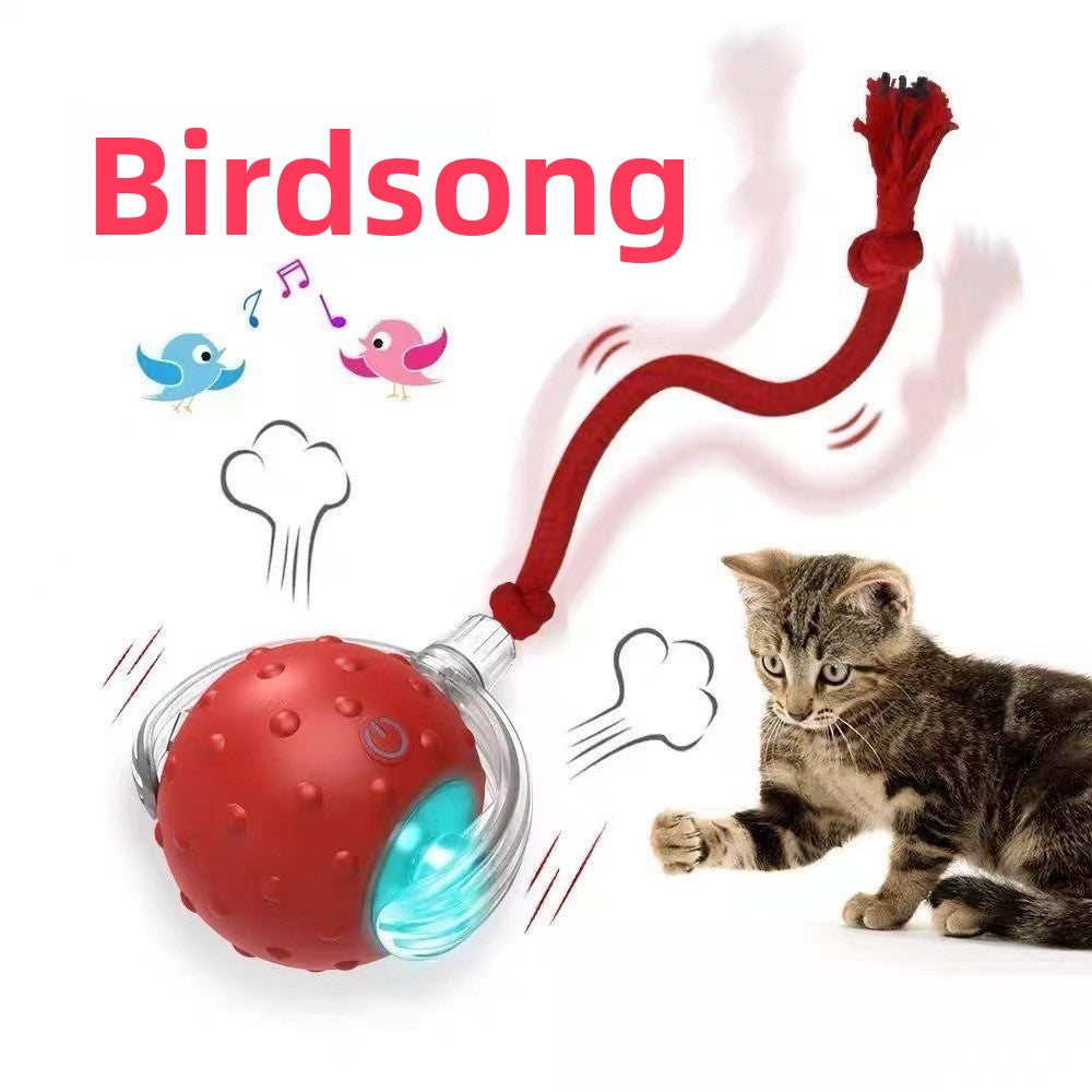 Interactive Silicone Pet Ball