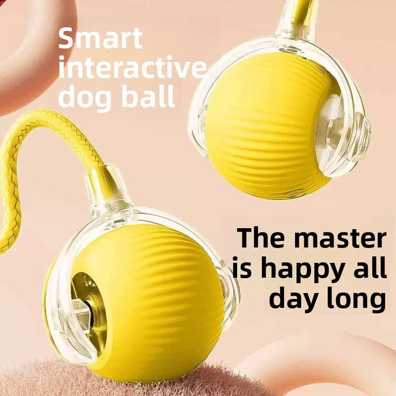 Interactive Silicone Pet Ball